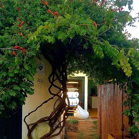 Conde Surf Camp - Junto Ao Mar - Entire Pvt House Villa Vila do Conde Eksteriør billede