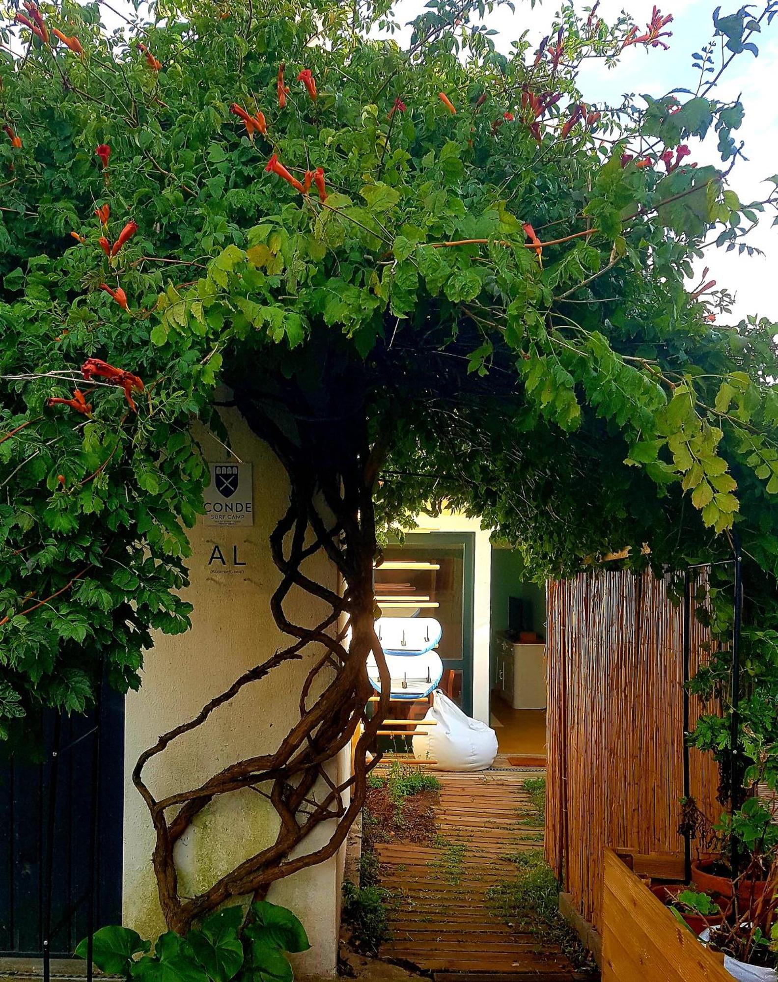 Conde Surf Camp - Junto Ao Mar - Entire Pvt House Villa Vila do Conde Eksteriør billede